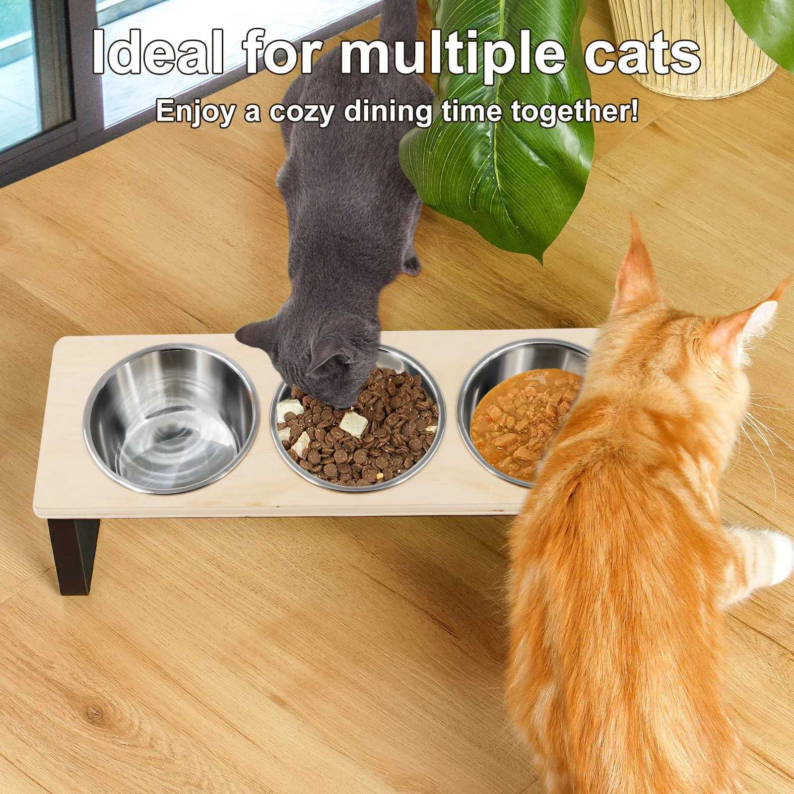 Elevated Cat Bowls Feeder 15 Tilted Raised Feeding Watering Supplies Pet 3 Stainless Steel Bowls with Stand for Cats Puppies C251009