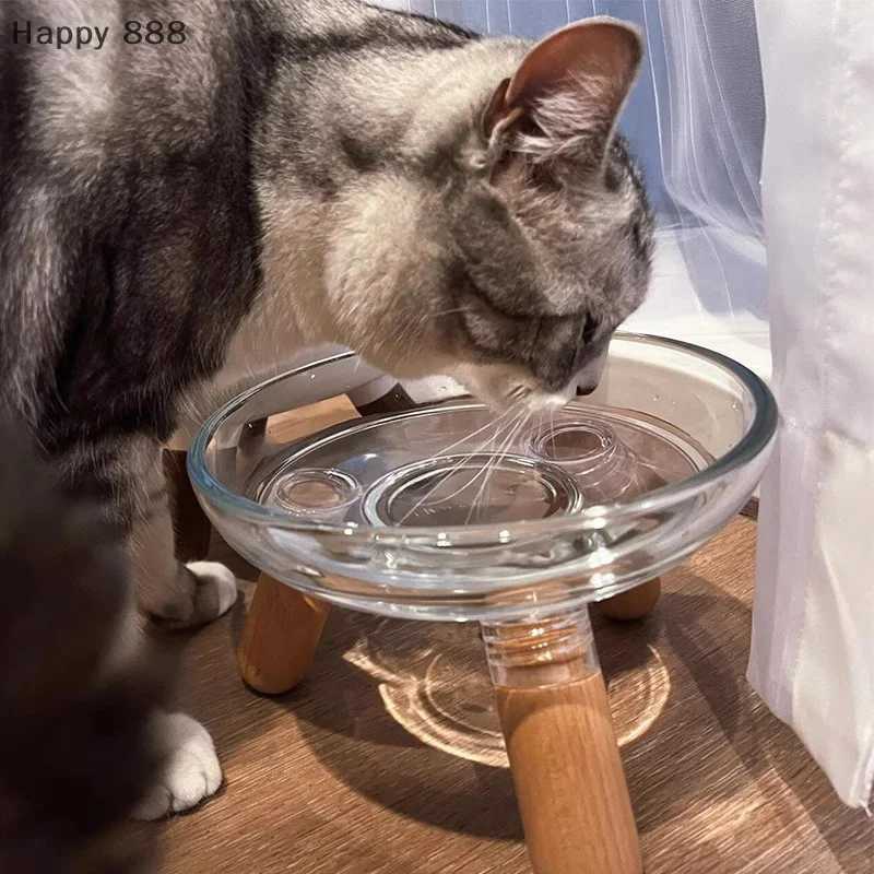 Elevated Cat Feeding Bowl With Transparent Design And Stand For Neck Support Suitable For Food Water Or Treats C251009