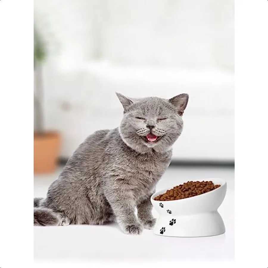Cat Bowl Anti Vomiting Raised Food Bowls Tilted Elevated Bowl Ceramic Pet Food Bowl for Flat Faced Cats Small Dogs Protect Pet C251009