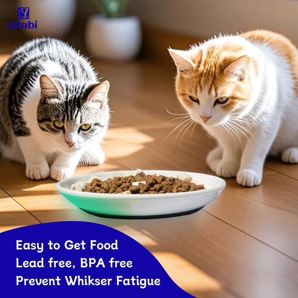 Oitabi 3PCS Cat Food Bowl Ceramic Cat Bowls Anti Whisker Fatigue Cats Bowl Set Shallow Wide Kitten Plates for Food and Water C251009