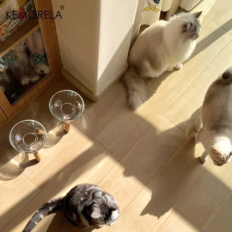 KEMORELA Elevated Pet Tilted Food Bowl Water Bowl Transparent Plastic Cat Bowl For Protecting Pet Cervical Vertebra Removable C251009