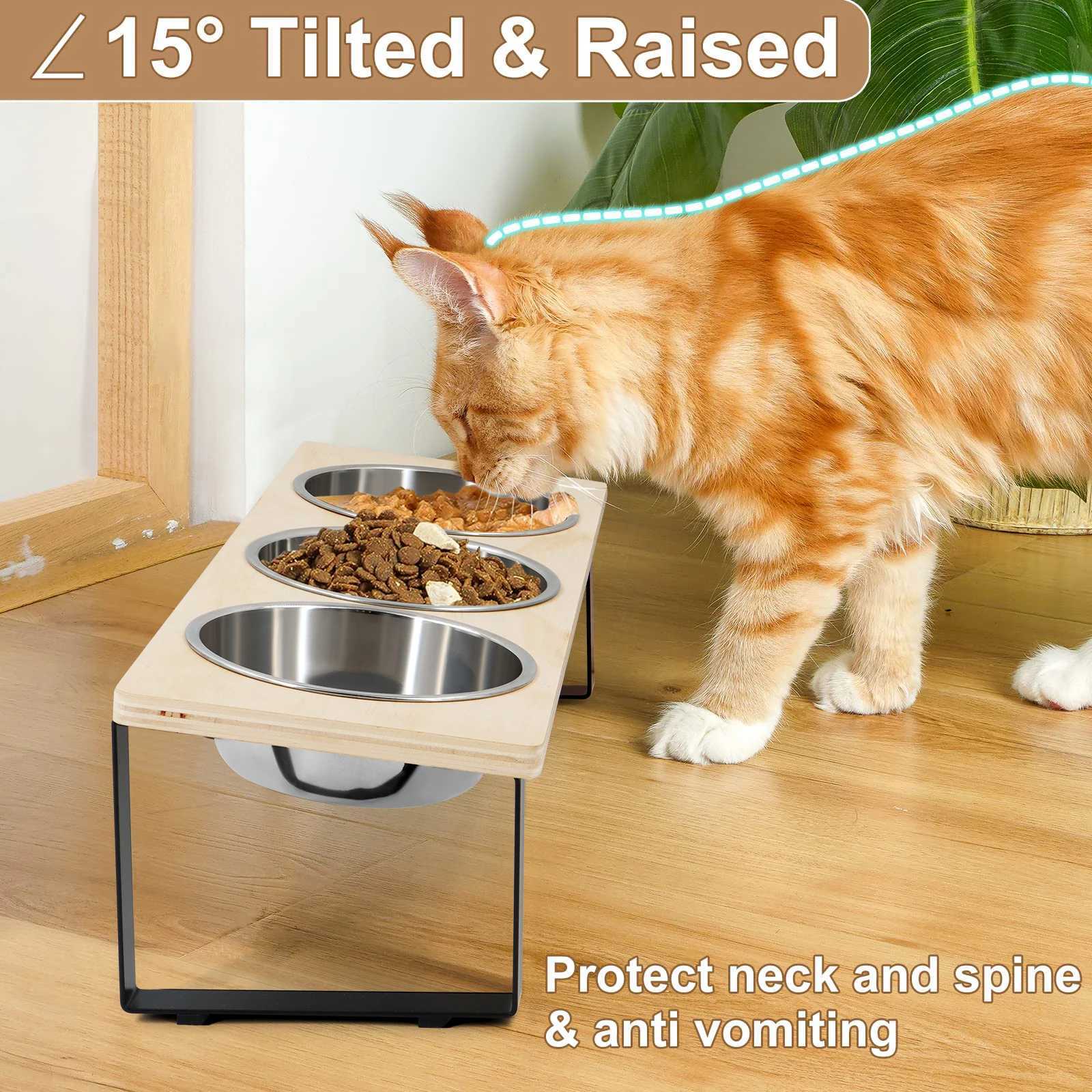 Elevated Cat Bowls with 3 Stainless Steel Bowls 15 Tilted AntiVomiting Raised Cat Food Bowl for Small Cats Puppies Accessories C251009