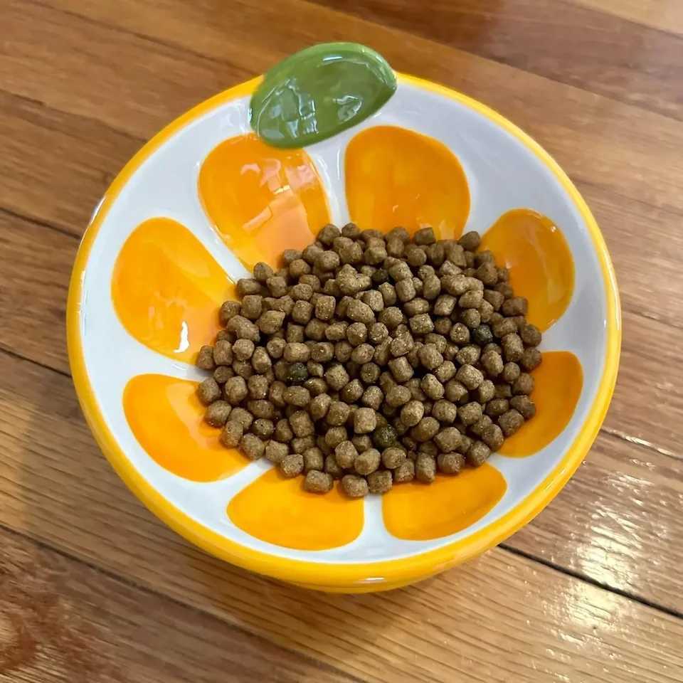 21pcs Ceramic Raised Cat Bowl Elevated Cat Food Bowl for Indoor Cats Anti Vomiting Protect Pets Spine Cute Tilted Cat Dish C251009