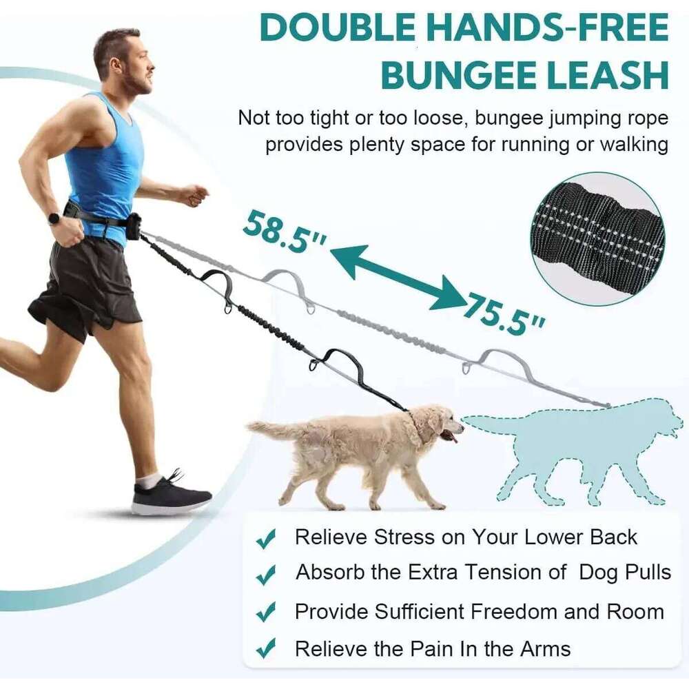 Hands Free Pouch, Leash for Two Dogs, Retractable Bungee with Double Padded Handles, Dog harness