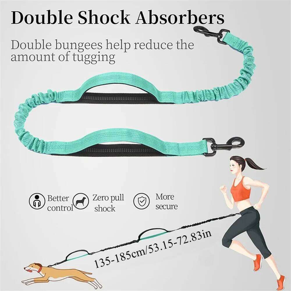 Double Handle Elastic Hands Free Lead Adjustable Waist Belt Reflective Nylon Extendable Dog Running Leash Blue Red