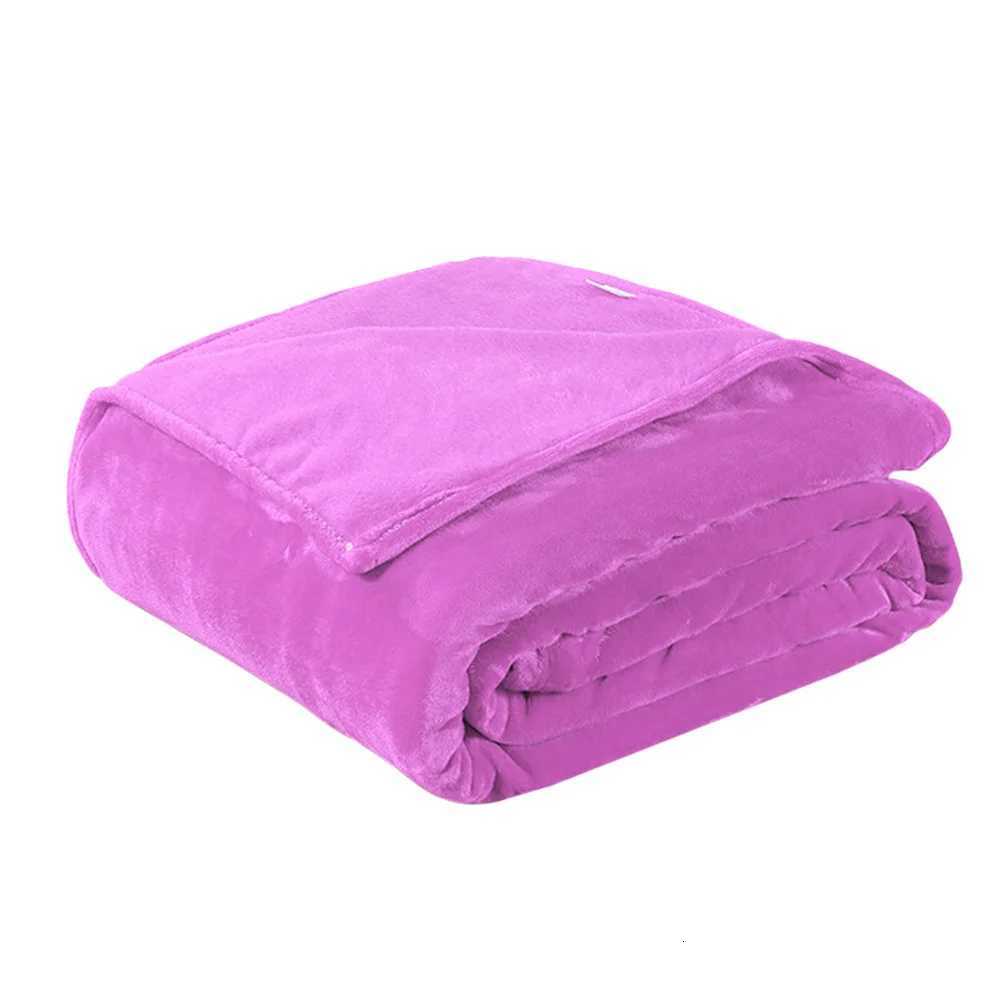 Coral Fleece Blanket Light Purple 65x93cm Lightweight Warm Flannel Blanket for Winter Camping Backpacking Home Use C251011