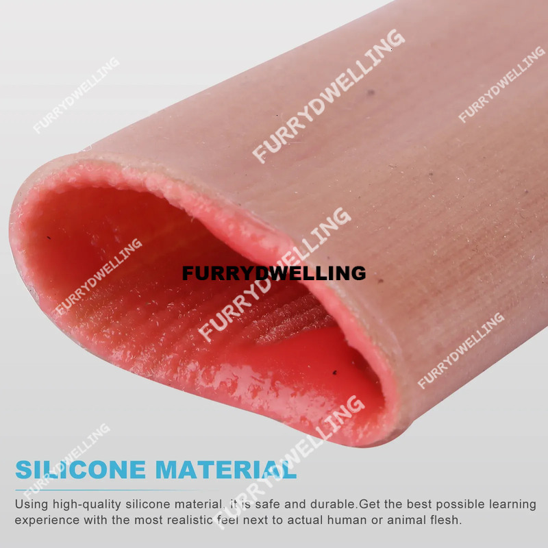 Simulated Bowel Training Mould Vascular Silicone Blood Dwe74 Vessels Model Suture Para Gelatinas