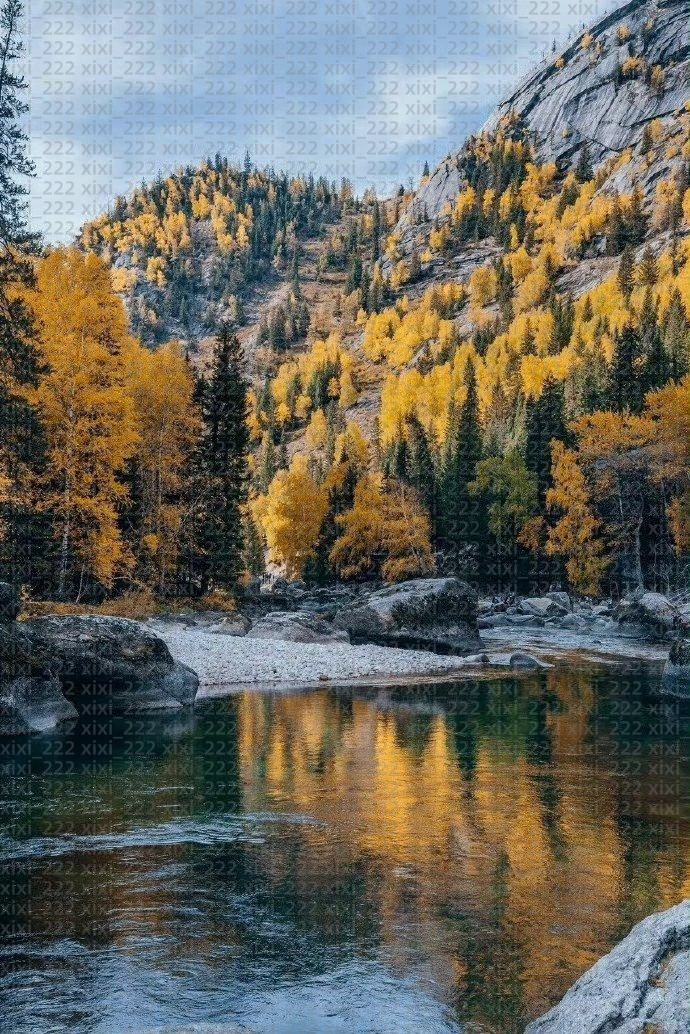 Torontos Custom Blue Jays Baseball Jersey men Joe Carter 27 Vladimir Guerrero Jr. 11 Bo Bichette 4 George Springer 30 Alejandro Kirk 34 Kevin Gausman 