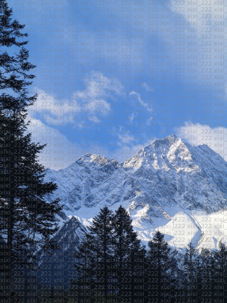 Kelvin Banks Jr Drew Brees Derek Carr Alvin Kamara Jamaal Williams Taysom Hill Rashid Shaheed Chris Taliese Fuaga Alontae Taylor Davis Football Saints