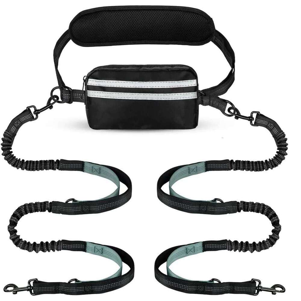 Hands Free Pouch, Leash for Two Dogs, Retractable Bungee with Double Padded Handles, Dog harness