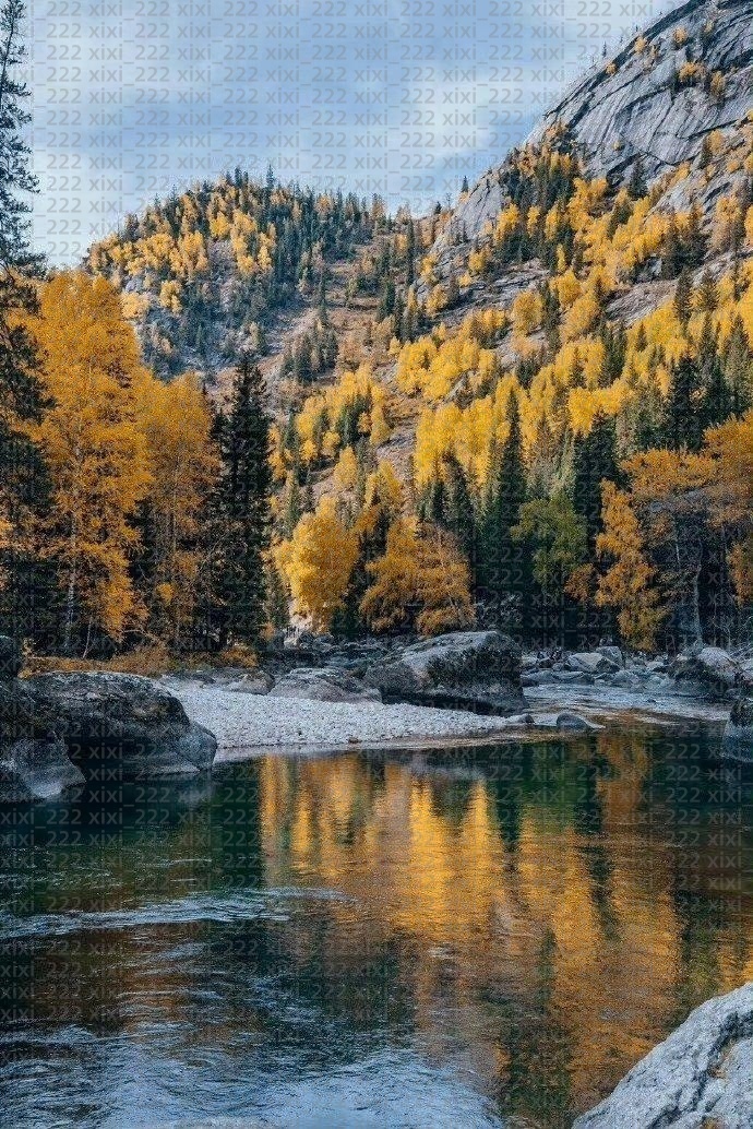 Kelvin Banks Jr Drew Brees Derek Carr Alvin Kamara Jamaal Williams Taysom Hill Rashid Shaheed Chris Taliese Fuaga Alontae Taylor Davis Football Saints