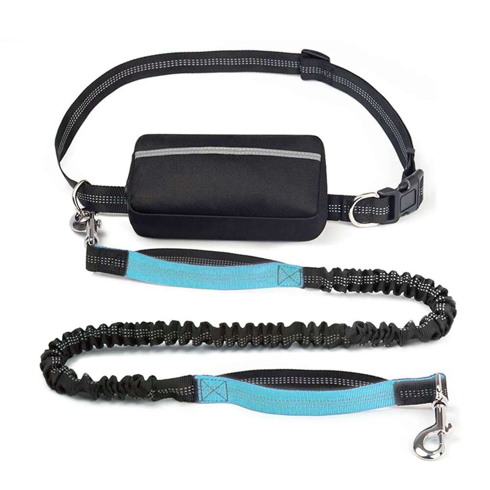 Hands-free leash with zipper bag, double padded handle durable elastic strap for walking, jogging and running your dog
