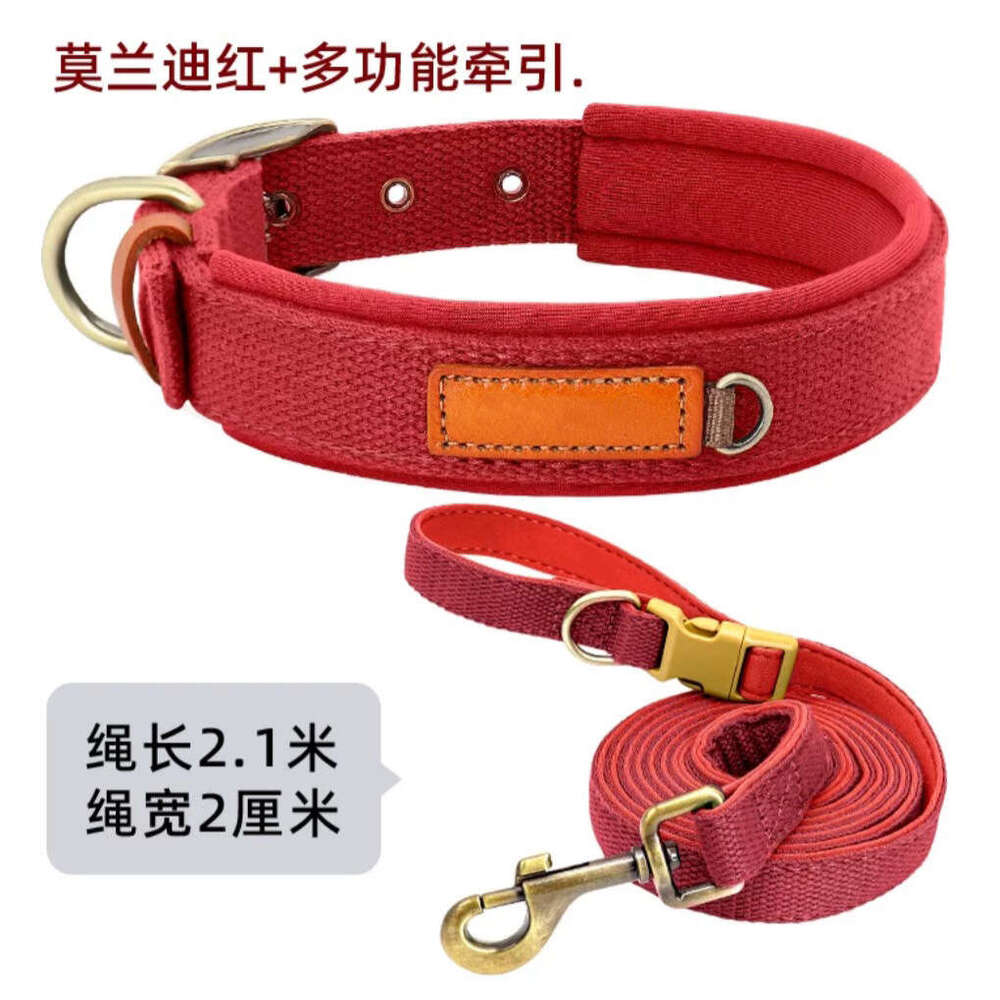 Collar for Medium and Large Dogs, Retriever, Golden Lab, Double Layer Design, Leash, Dog Traction Special