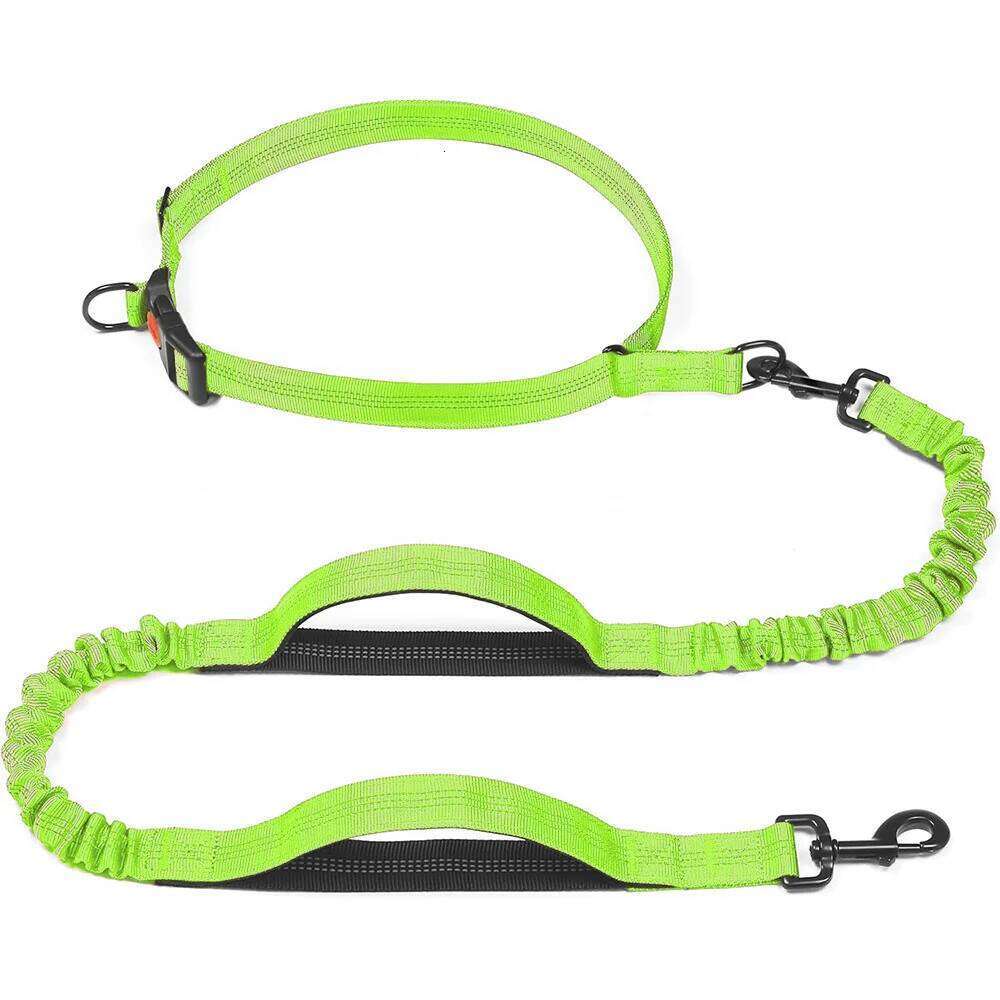 Double Handle Elastic Hands Free Lead Adjustable Waist Belt Reflective Nylon Extendable Dog Running Leash Blue Red