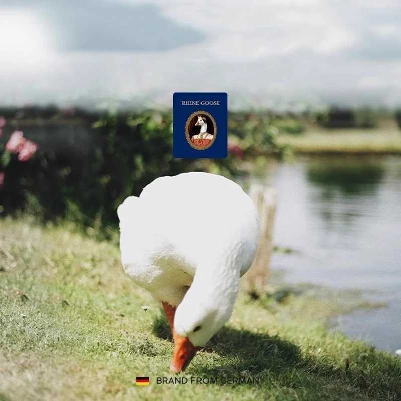 100 White GooseDuck Down Quilt High quty Fivestar Hotel Twist Flower Duvets Comforters 100 Cotton Cover Luxury Blanket C251011