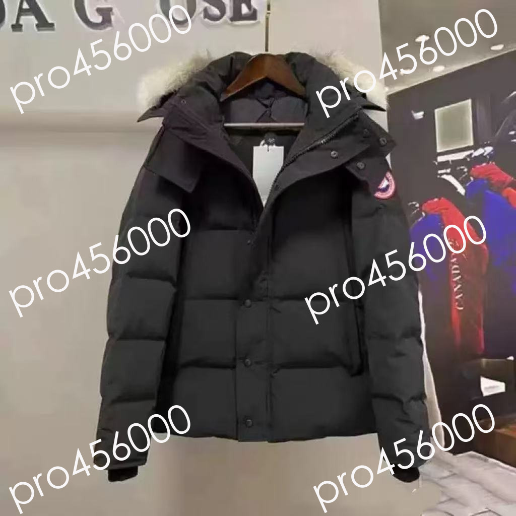Designer Canadian cartia pufferJacket Jackets Men's Hooded Winter Gooselies Jacket Coat Warm Thicken Cotton 11c