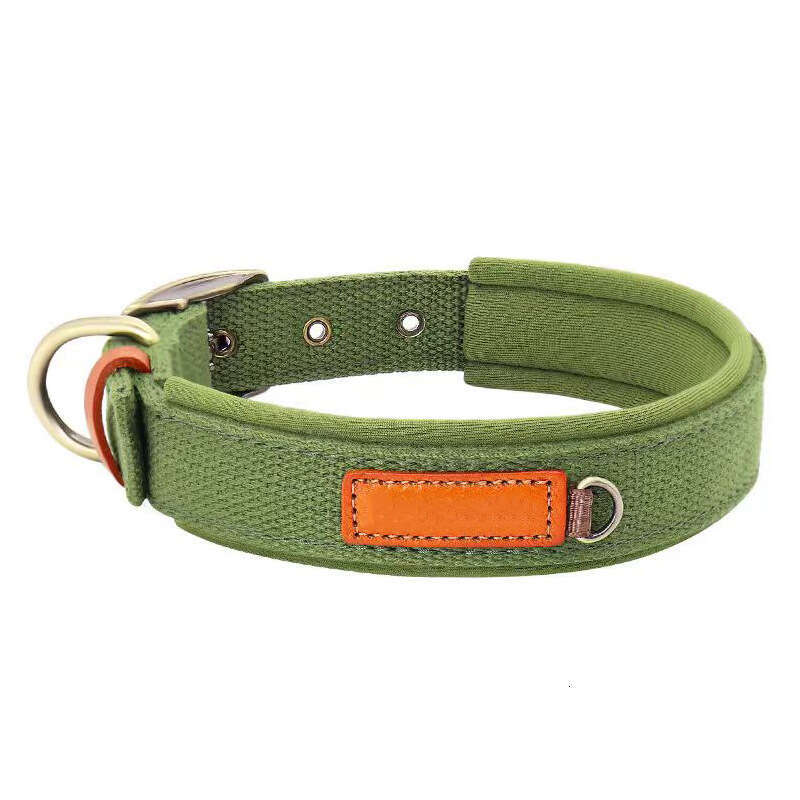 Collar for Medium and Large Dogs, Retriever, Golden Lab, Double Layer Design, Leash, Dog Traction Special
