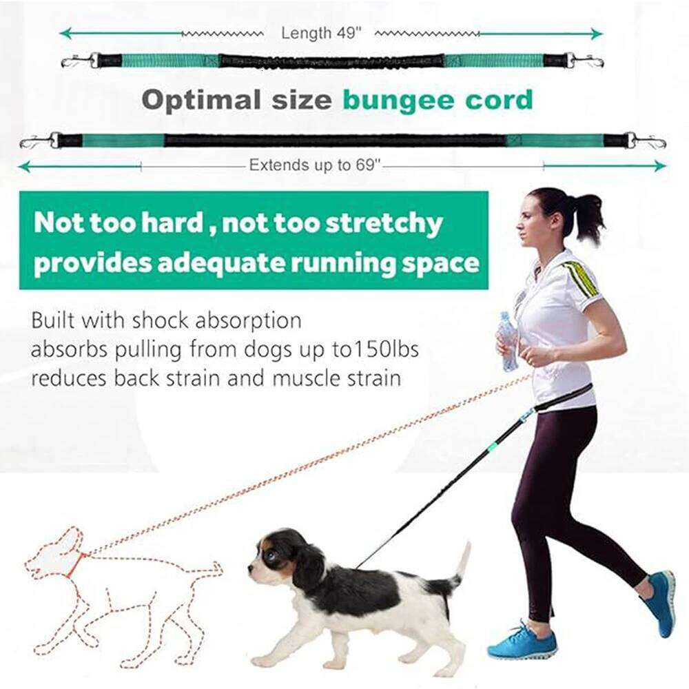 Hands-free leash with zipper bag, double padded handle durable elastic strap for walking, jogging and running your dog