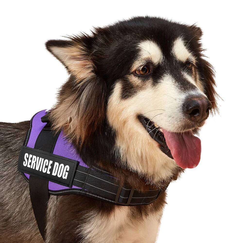 Accept Customise Patches Pet Harness No Pull Reflective Saddle Adjustable Dog Walking For Small Medium And Large Dogs Vest