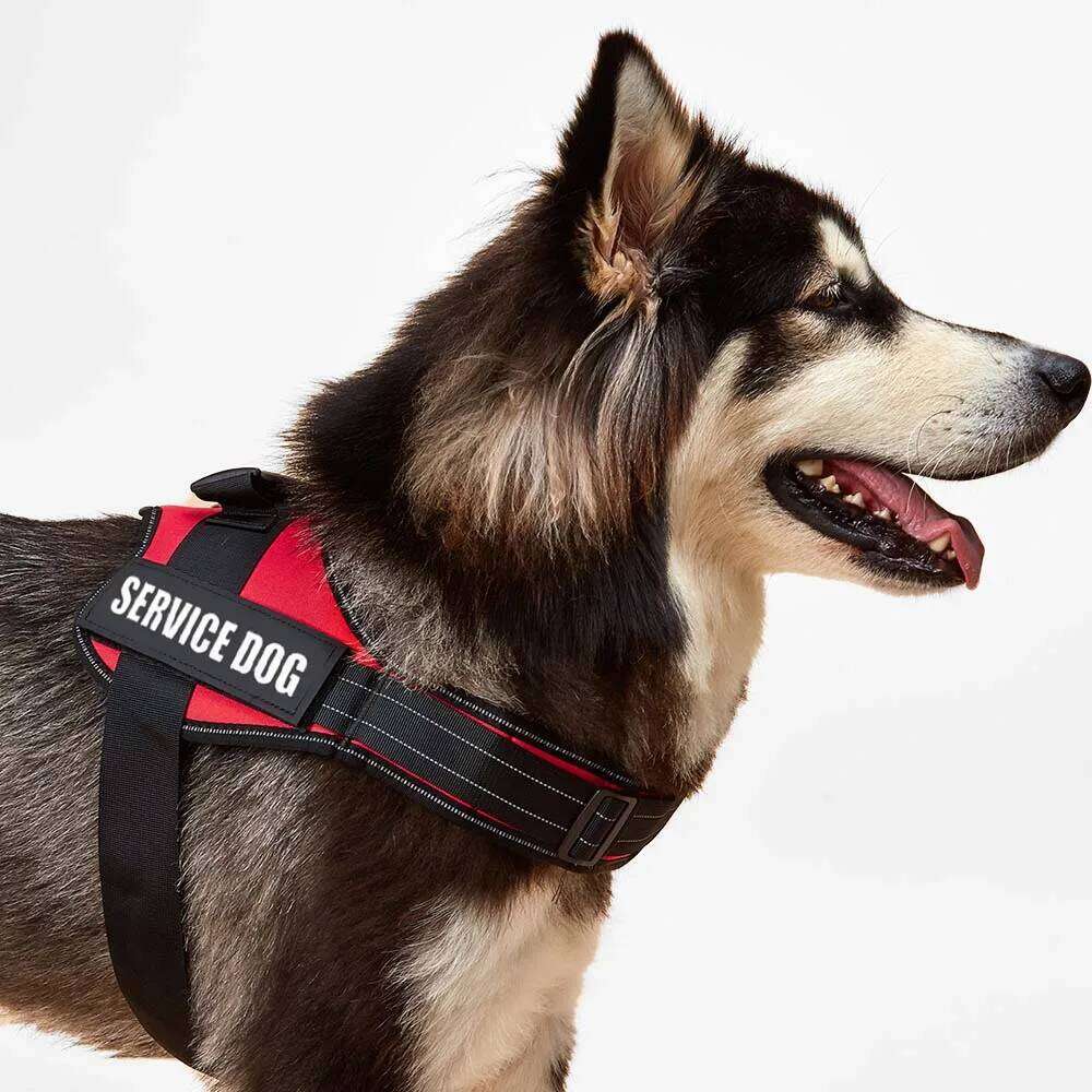 Accept Customise Patches Pet Harness No Pull Reflective Saddle Adjustable Dog Walking For Small Medium And Large Dogs Vest