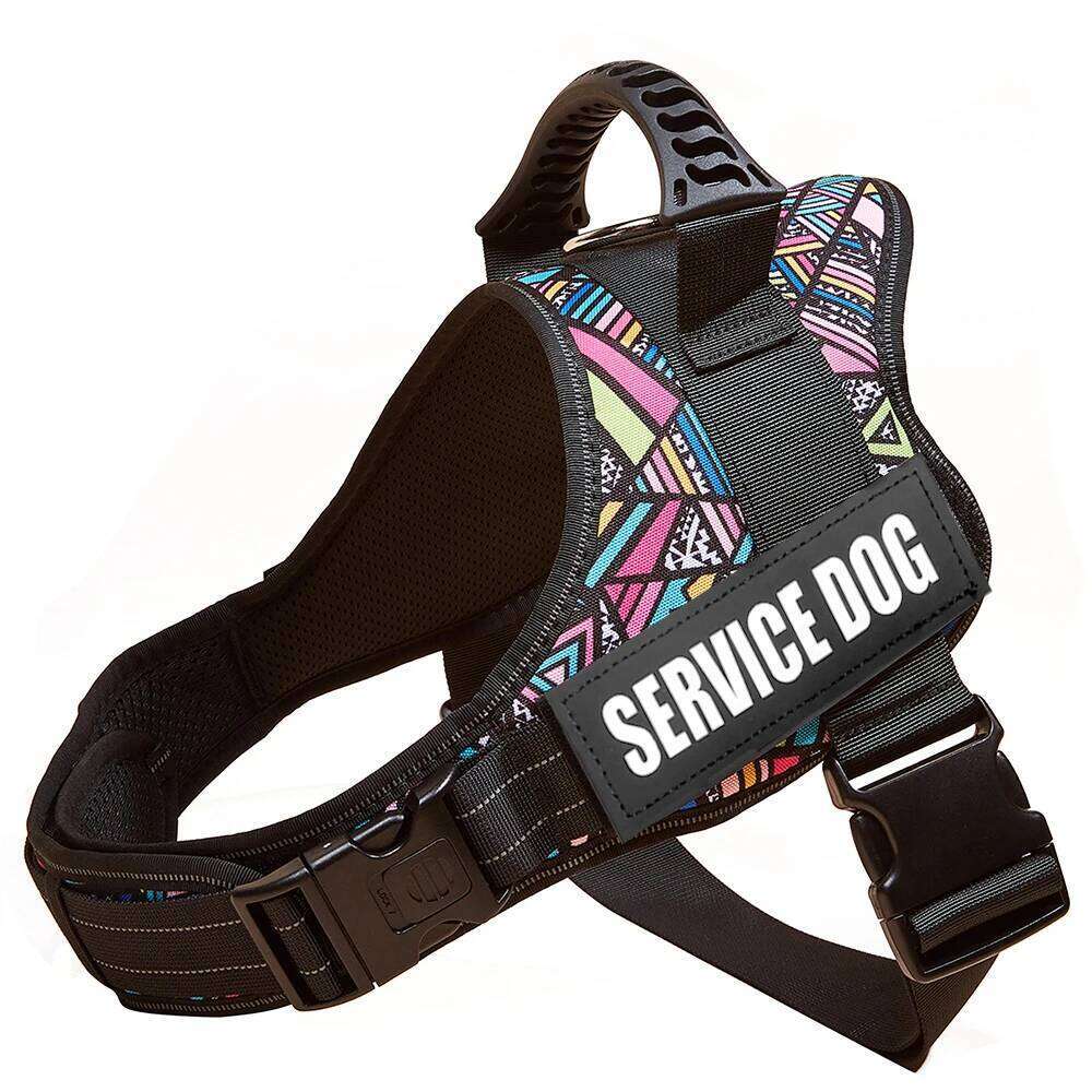 Colorful Harness With Customizable Tags Reflective Collar No Pull Safe Dog Training Walking Climbing Vest Free Shipping