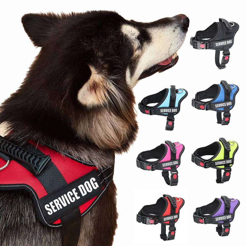 Accept Customise Patches Pet Harness No Pull Reflective Saddle Adjustable Dog Walking For Small Medium And Large Dogs Vest