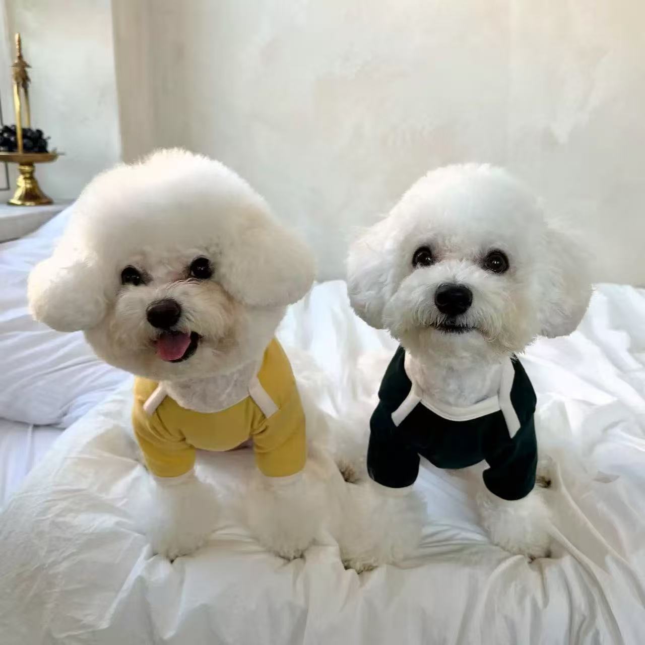 T1708 Autumn and winter new German fleece sweatshirt solid color bottoming shirt Pomeranian Teddy Bichon Poodle small dog cat pet