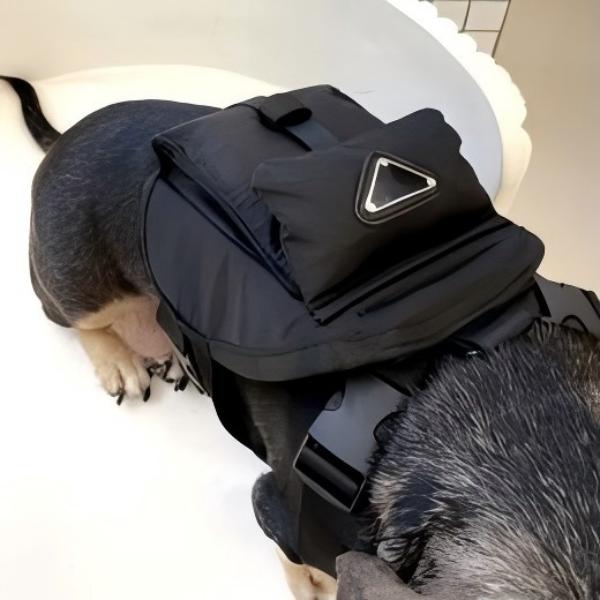 Designer with Leash Dog Snack bag Pet Self Carrier Adjustable Travel Hiking Walking Harness Backpack for Small Medium Dogs Black S(Fit:5-16lb) K14 Fre