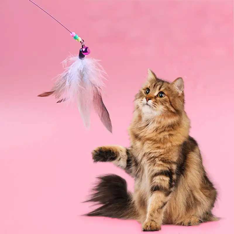 1PCS Metal Wire Funny Cat Stick Cat Toy Pet Toy with Feather Bell Funny Cat Rod Pet Supplies C251013