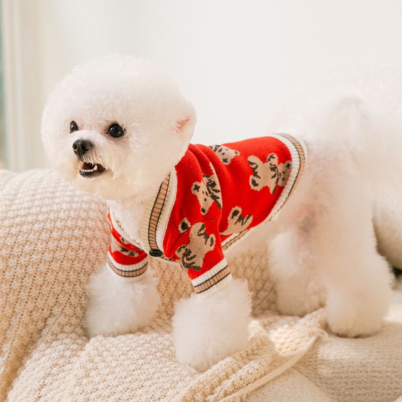 Winter and Autumn Little Pet Dog Clothes Full Print Cute Sweater Cat Two Leg Cardigan Small and Medium sized Dog Teddy Pet Clothes