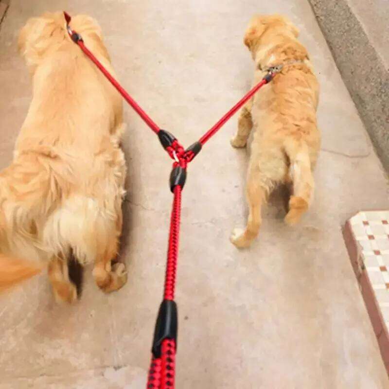 2 Way Braided Nylon Dual Dog Double Lead Rope Strong Pet Leash Walking Running Leads For Couplers With Soft Padded Handle