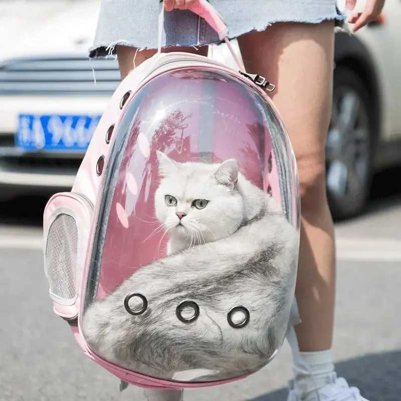 Pet Cat Carrying Bag Space Pet Backpacks Breathable Portable Transparent Backpack Puppy Dog Transport Carrier Space Capsule Bags C251013
