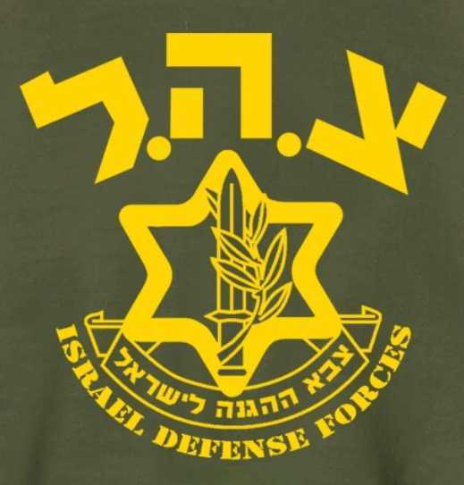 Israeli Army IDF Israel Defense Force Pullover Hoodie 100 Cotton Comfortable Casual Mens Sweatshirt Military Streetwear J251013