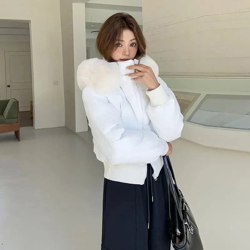 Ladies Down Cottonpadded Jacket Lapel Fashion Joker Female Winter Coat Temperament High quality Korean Women Outwear 251011