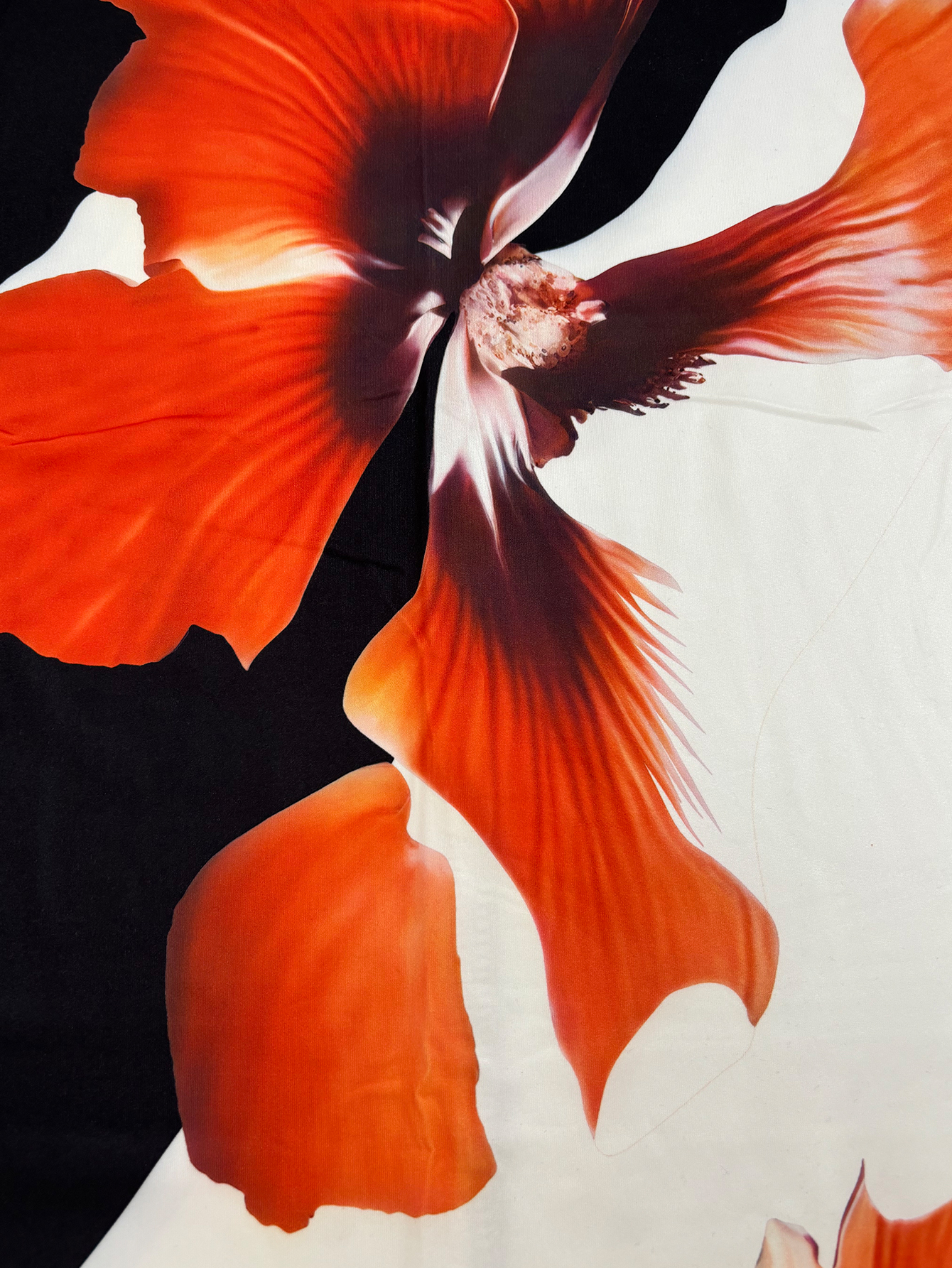 Women's Autumn Winter Fashion New Black Long - Sleeve Slim Midi Dress - Large Floral Printed Elegant Temperament DressCF55192