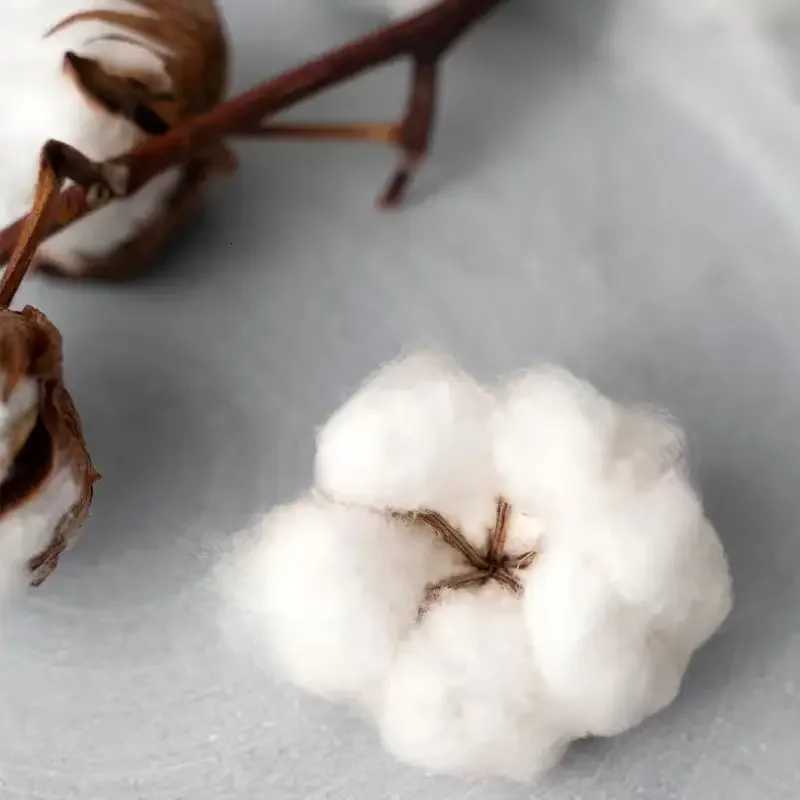 I Eat Cement Cat Funny Meme T Shirt Mens Women Harajuku Vintage Fashion Tshirts Casual Cotton Short Sleeve Tshirt StreetwearXJ251023