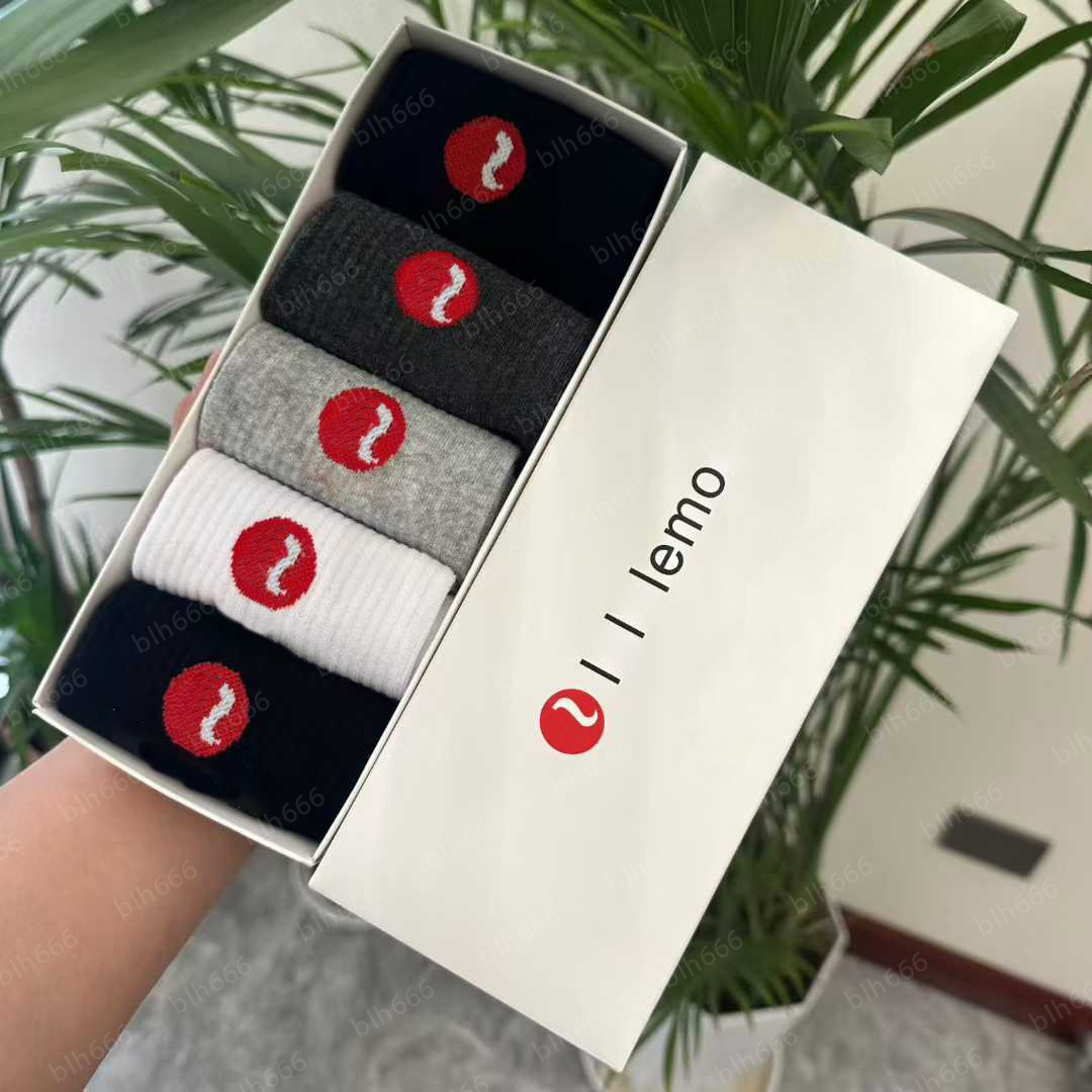 Socks Designer Wome… - image