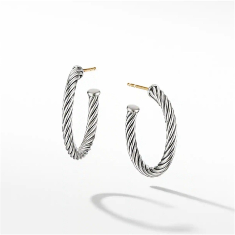 Womens Designer Earrings Silver Vintage Hoop Earrings Cable Popular Luxury Twisted Earrings Jewelry Designer For Womens
