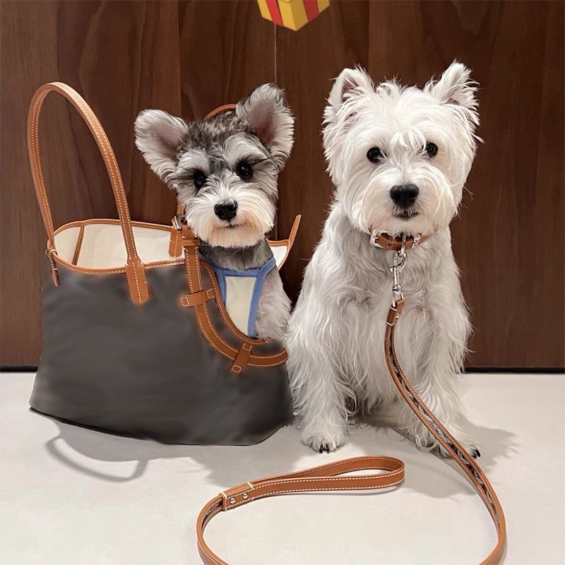 Designer Dog Carrier Purse, Portable Travel Dog bag, Sided Tote Carrier for Small Animals, Leather Travel Bag Ideal for Shopping, Outdoor Hiking, Walk