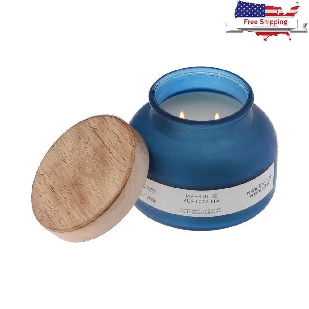 Blue Fern Citrus Scented Candle 2 Jar Candle 18oz Aromatic Fragrance Home Dcor Paraffin Wax Long Burn Time 52 Hours C251015