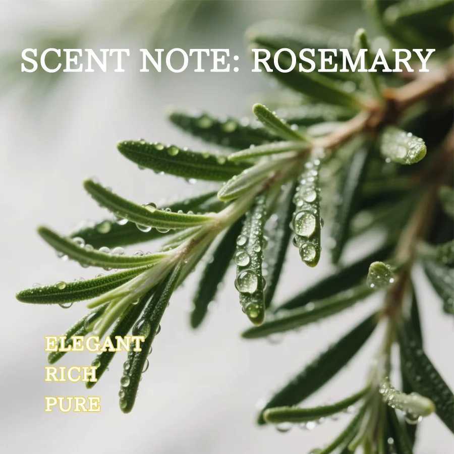 Rosemary Scented Candle 3oz For Meditation Yoga SPA Aesthetic Home Desk Decor Birthday Unisex Party Favor Small Gift C251015