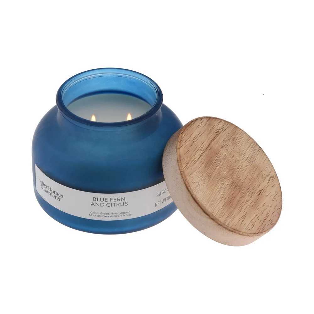 Blue Fern Citrus Scented Candle 2 Jar Candle 18oz Aromatic Fragrance Home Dcor Paraffin Wax Long Burn Time 52 Hours C251015