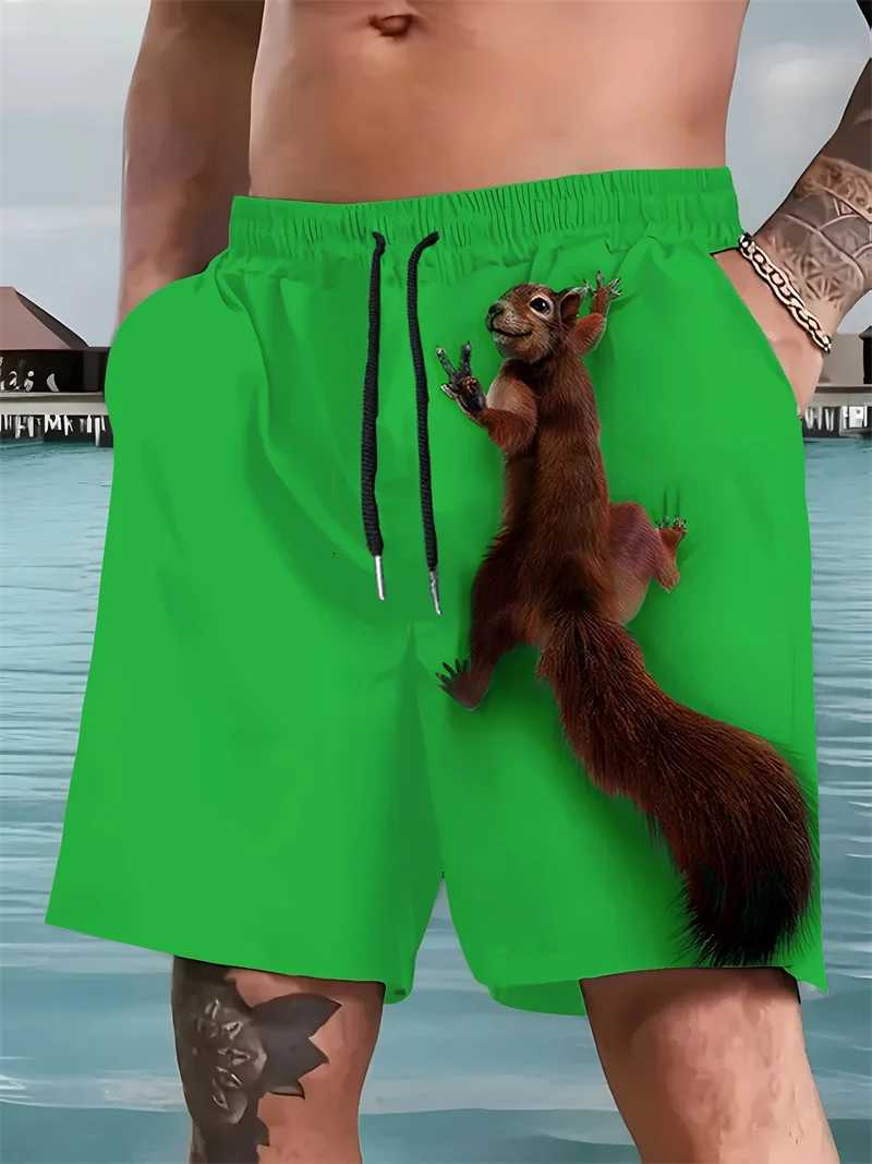 Mens 3d Printed Squirrel Pattern Mens Beach Shorts Casual Loose Funny Hawaiian Shorts Suitable For Mens Clothing 2025 NewT251015