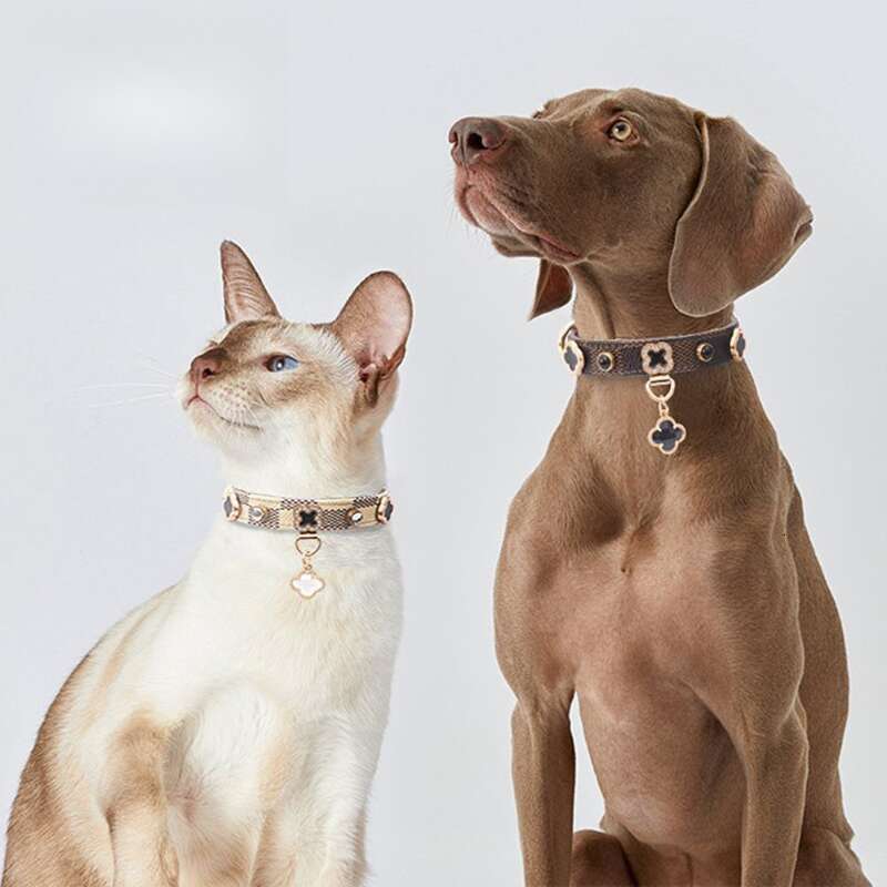 Dog collar Designer cat pu leather Pet travel supplies Four leaf clover zircon inlay High-End Exquisite Unique