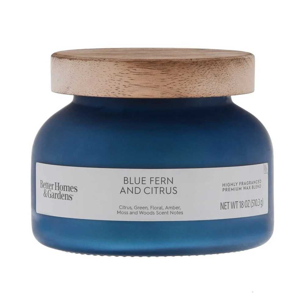 Blue Fern Citrus Scented Candle 2 Jar Candle 18oz Aromatic Fragrance Home Dcor Paraffin Wax Long Burn Time 52 Hours C251015