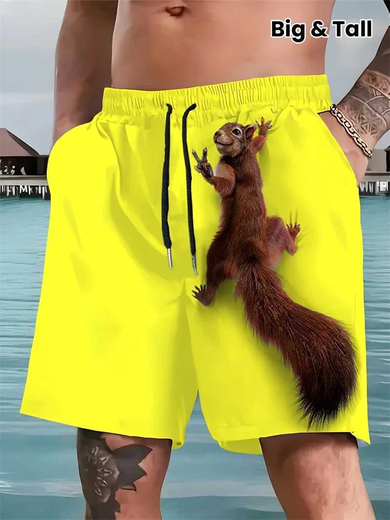 Mens 3d Printed Squirrel Pattern Mens Beach Shorts Casual Loose Funny Hawaiian Shorts Suitable For Mens Clothing 2025 NewT251015