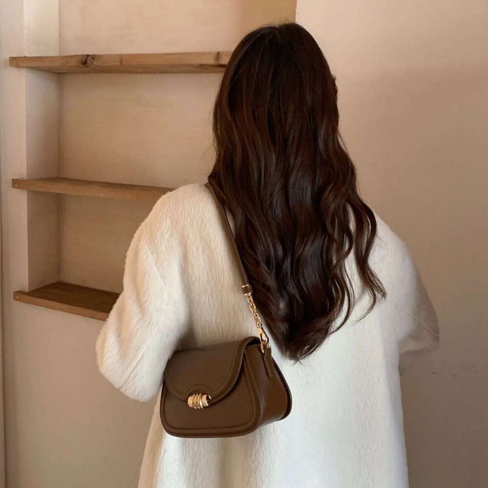 2025 New French - Style High - end Designer Underarm Saddle Bag for Women - Versatile and Exquisite Single Shoulder Bag