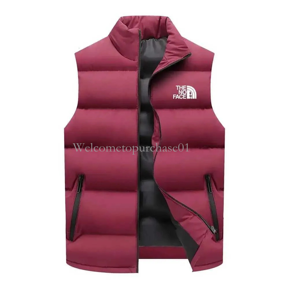 North Puffer Faced Jackets Mens Noth Puffer Facejacketdesigner Vest Designer Doudoune Luxe Fashion Printed Sleeveless Jackets Down Coat Womens Waistcoat bdd