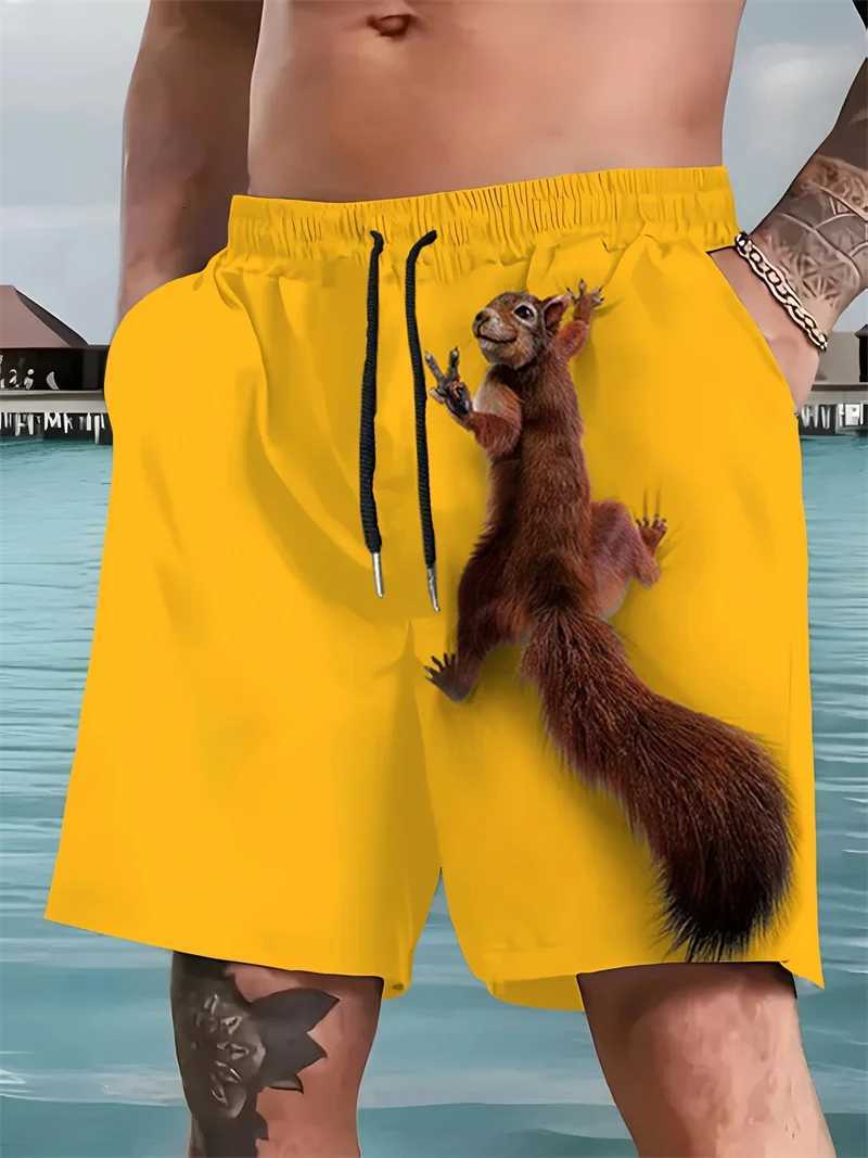 Mens 3d Printed Squirrel Pattern Mens Beach Shorts Casual Loose Funny Hawaiian Shorts Suitable For Mens Clothing 2025 NewT251015