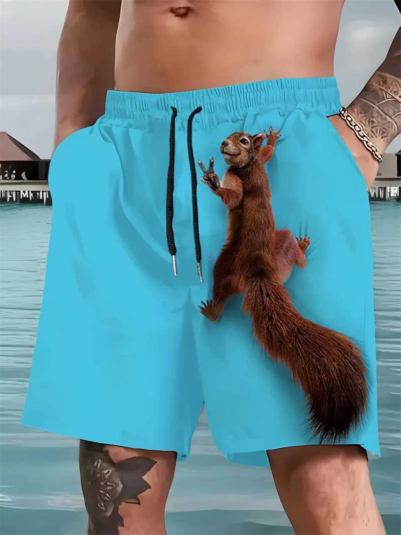 Mens 3d Printed Squirrel Pattern Mens Beach Shorts Casual Loose Funny Hawaiian Shorts Suitable For Mens Clothing 2025 NewT251015